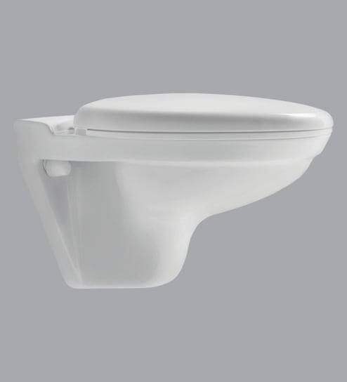 Wall Mounting Water Closet